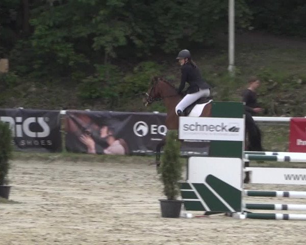 Reitturnier Siegen-Weidenau 2022
