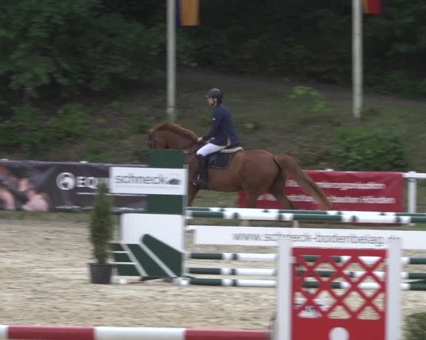 Reitturnier Siegen-Weidenau 2022