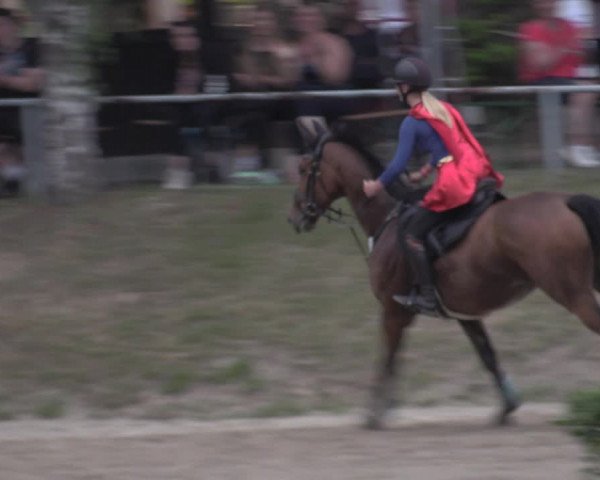 Reitturnier Lgl.-Oberhain, B95 2022