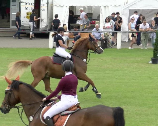 Reitturnier Forst 2022