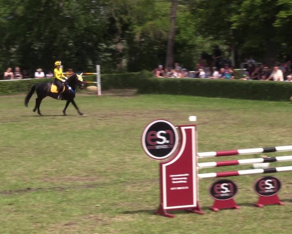 Reitturnier Westeregeln 2022