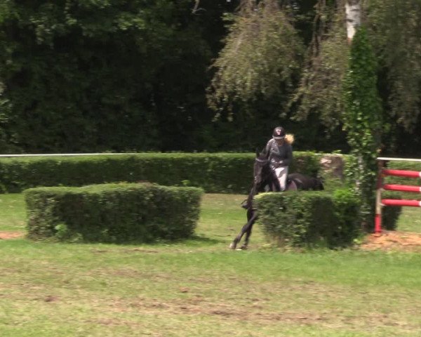 Reitturnier Westeregeln 2022