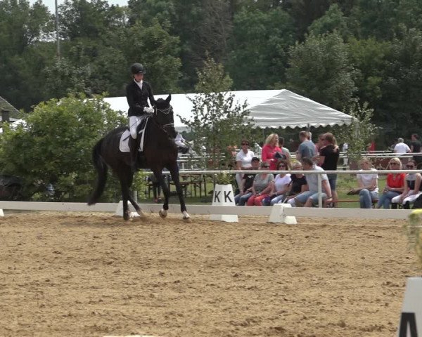 Reitturnier Pennigbüttel 2022