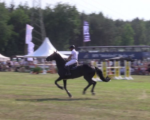 Reitturnier Horka 2022