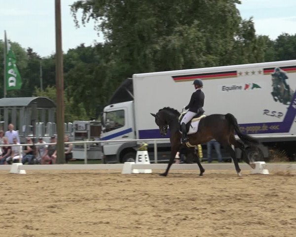 Reitturnier Pennigbüttel 2022
