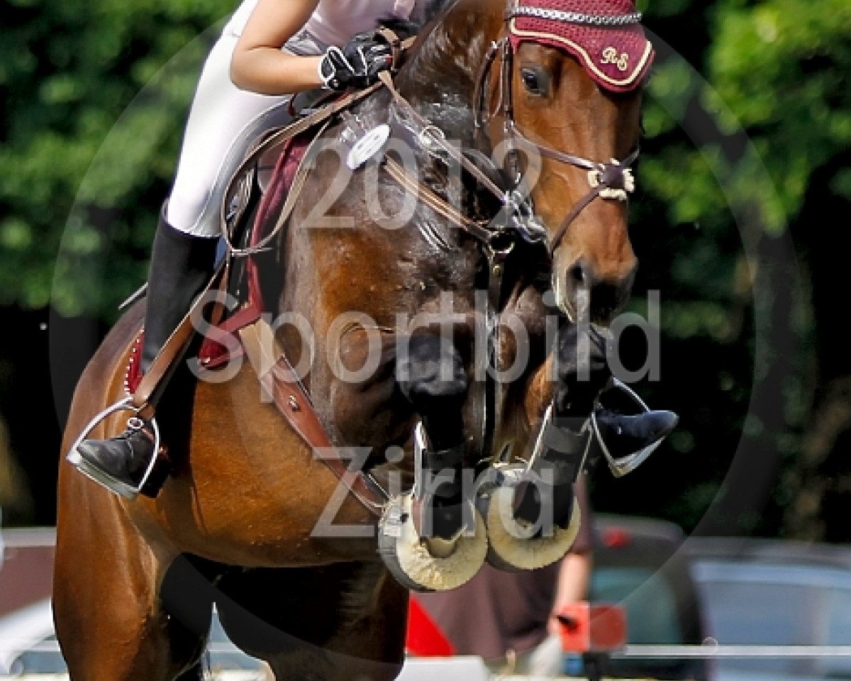 broodmare Caleisha (Oldenburg, 2005, from Chambertin)