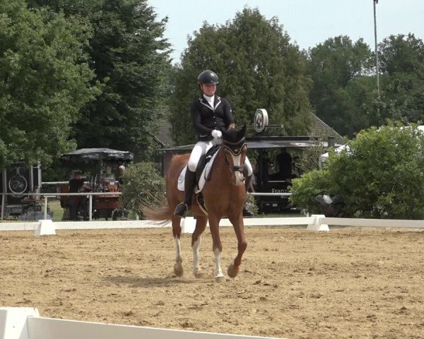 Reitturnier Pennigbüttel 2022