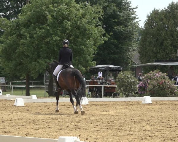 Reitturnier Pennigbüttel 2022