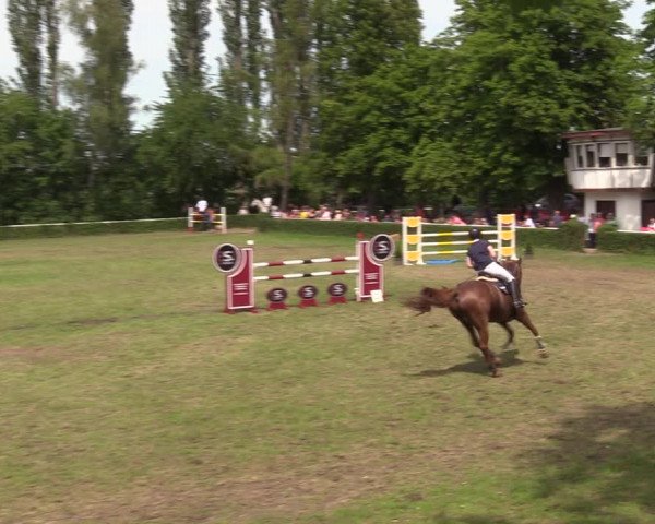 Reitturnier Westeregeln 2022