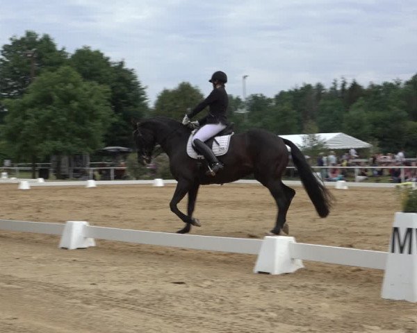 Reitturnier Pennigbüttel 2022
