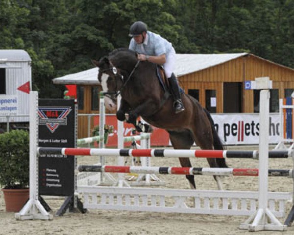Springpferd Santiago M. (Hannoveraner, 2008, von Stolzenberg)