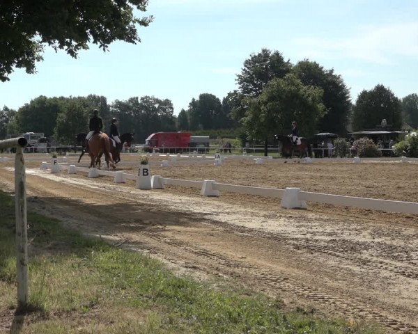 Reitturnier Pennigbüttel 2022