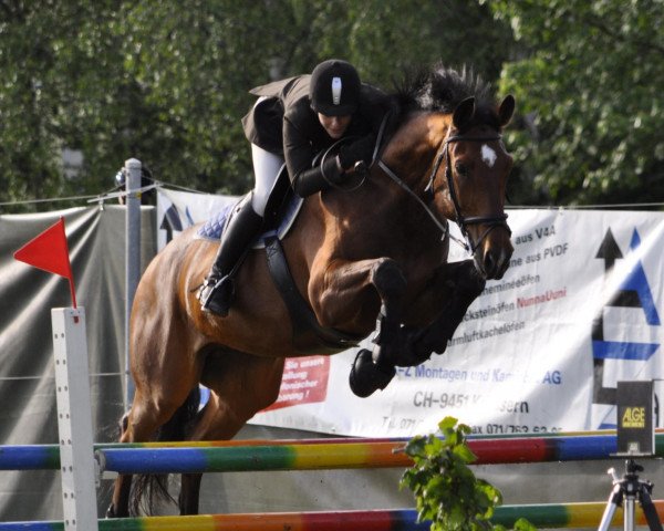 jumper Athletico 39 (Westphalian, 2000, from Acord II)