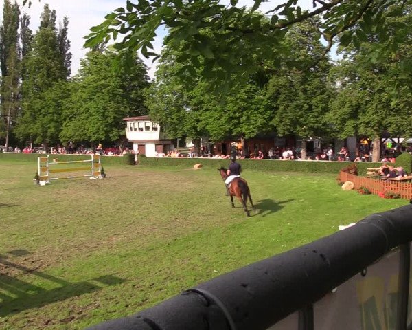 Reitturnier Westeregeln 2022