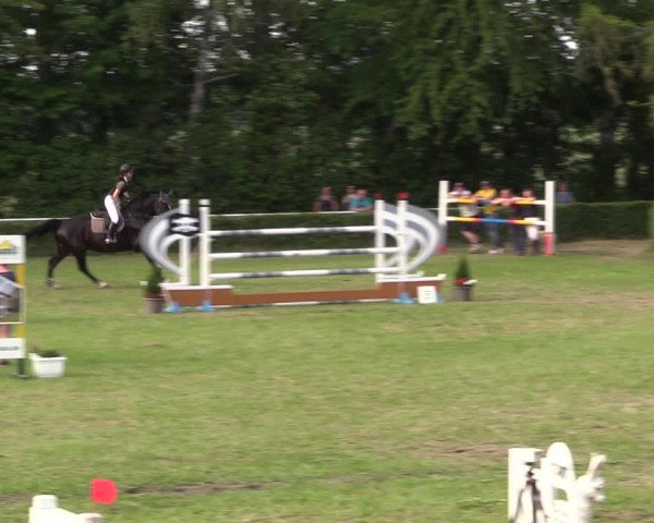 Reitturnier Westeregeln 2022
