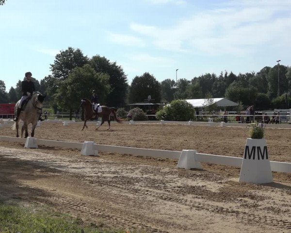 Reitturnier Pennigbüttel 2022