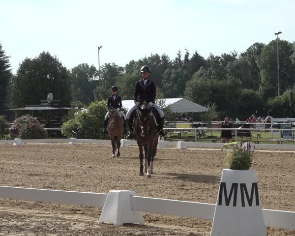Reitturnier Pennigbüttel 2022