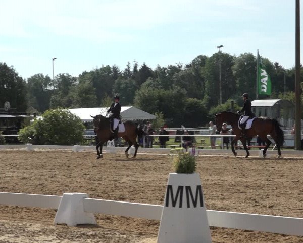 Reitturnier Pennigbüttel 2022