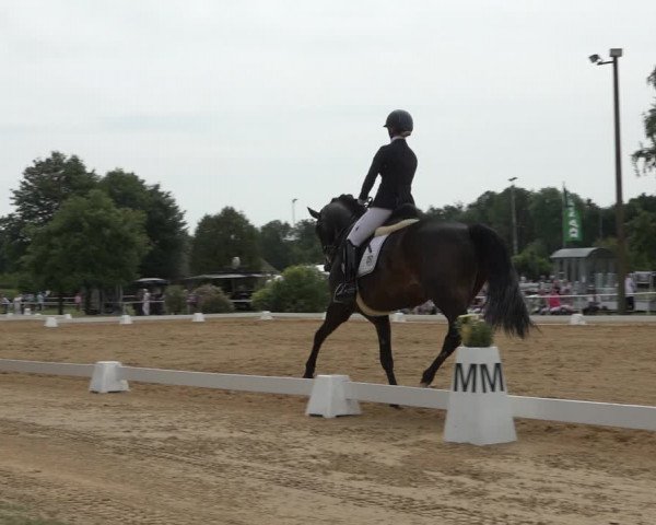 Reitturnier Pennigbüttel 2022