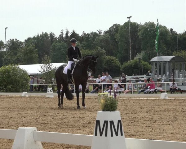 Reitturnier Pennigbüttel 2022