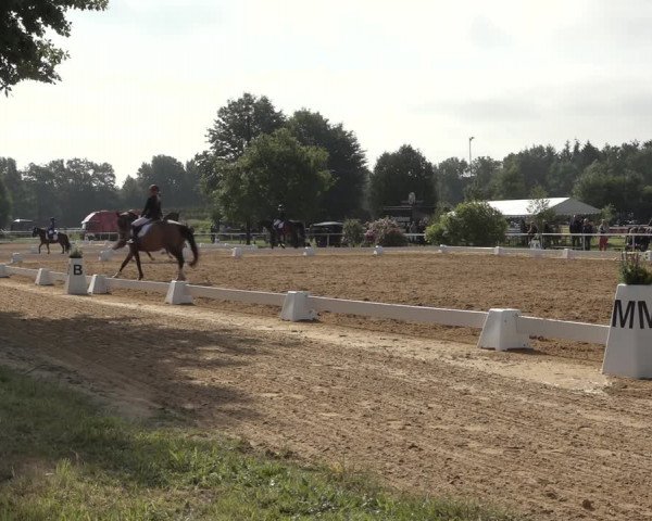 Reitturnier Pennigbüttel 2022