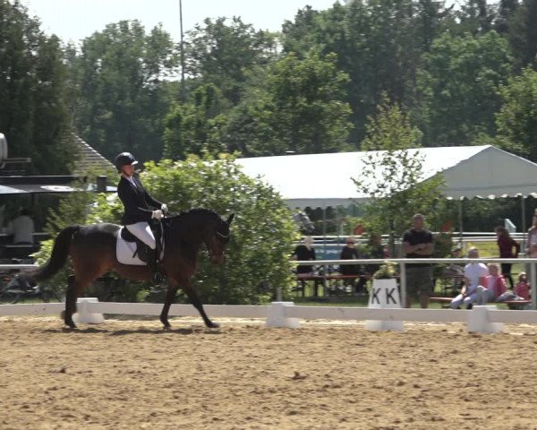 Reitturnier Pennigbüttel 2022