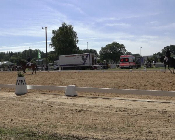 Reitturnier Pennigbüttel 2022