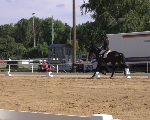 Reitturnier Pennigbüttel 2022