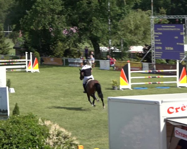 Reitturnier Pennigbüttel 2022