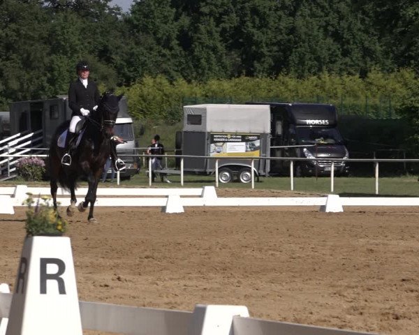 Reitturnier Pennigbüttel 2022