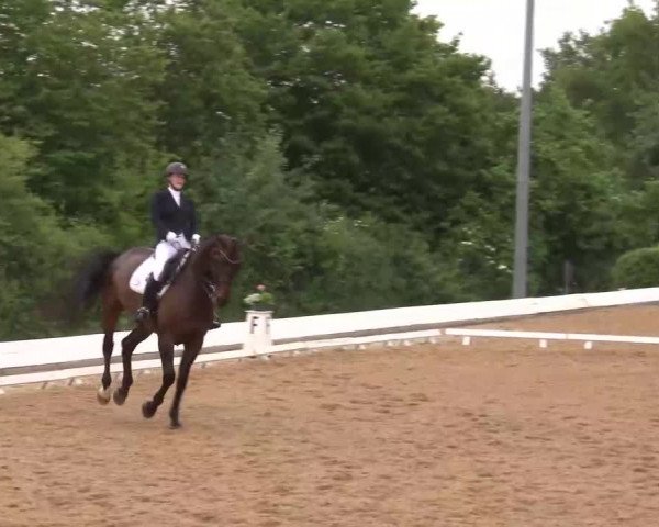 Reitturnier Neustadt/Aisch/Mfr. 2022