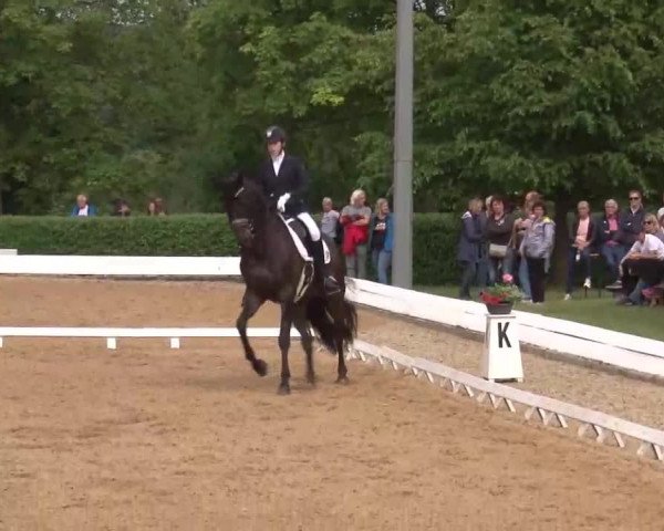 Reitturnier Neustadt/Aisch/Mfr. 2022