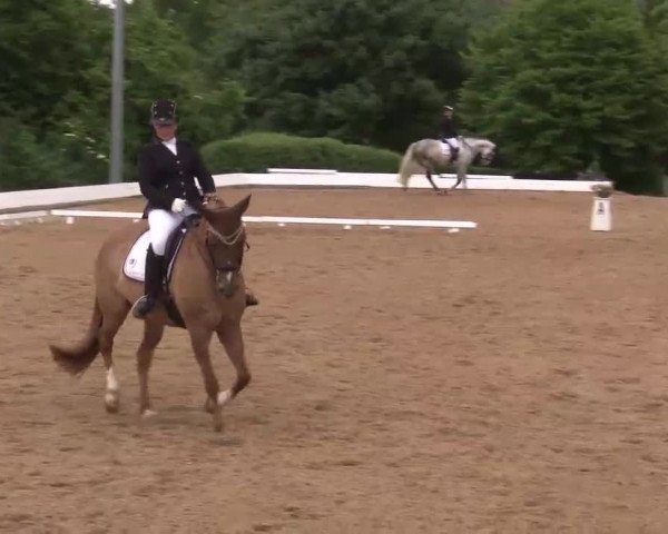 Reitturnier Neustadt/Aisch/Mfr. 2022