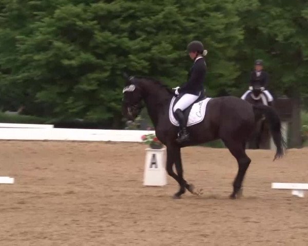 Reitturnier Neustadt/Aisch/Mfr. 2022