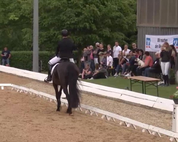 Reitturnier Neustadt/Aisch/Mfr. 2022