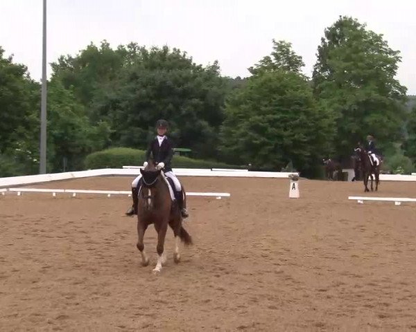 Reitturnier Neustadt/Aisch/Mfr. 2022