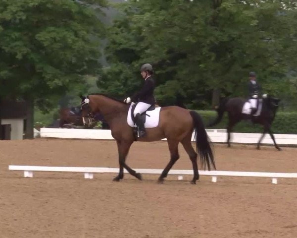 Reitturnier Neustadt/Aisch/Mfr. 2022