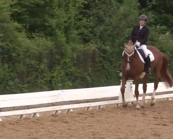 Reitturnier Neustadt/Aisch/Mfr. 2022