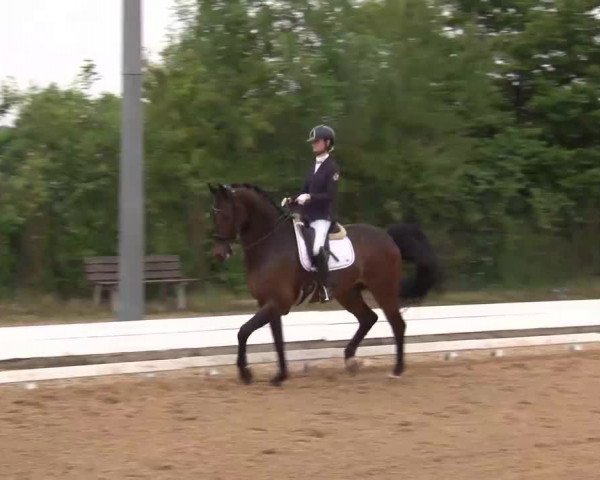 Reitturnier Neustadt/Aisch/Mfr. 2022