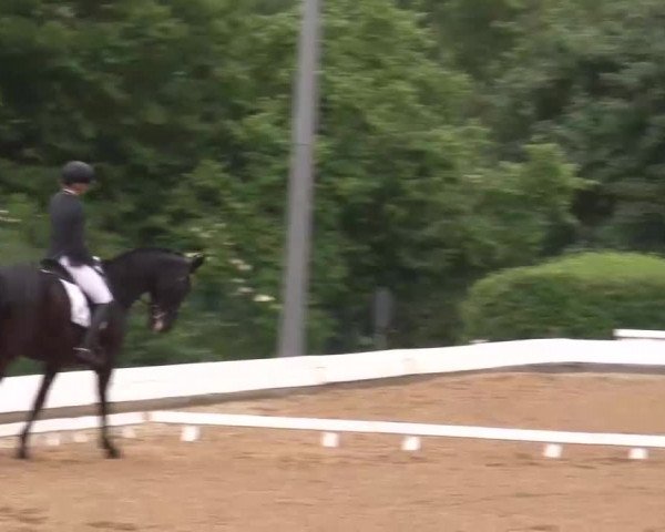 Reitturnier Neustadt/Aisch/Mfr. 2022