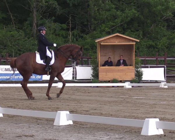 Reitturnier Frechen-Grefrath - Sonnenhof 2022