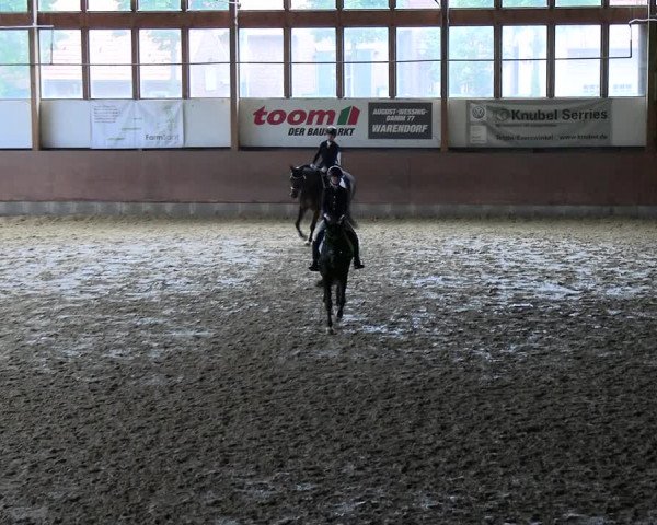 Reitturnier Everswinkel 2022