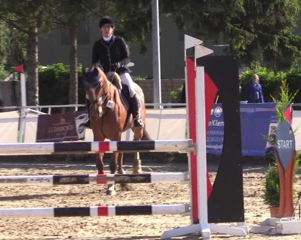 Reitturnier Frechen-Grefrath - Sonnenhof 2022