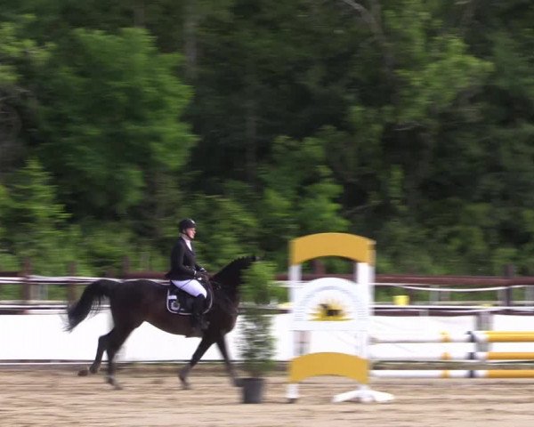 Reitturnier Frechen-Grefrath - Sonnenhof 2022