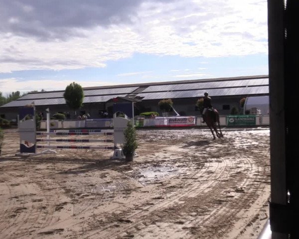 Reitturnier Frechen-Grefrath - Sonnenhof 2022