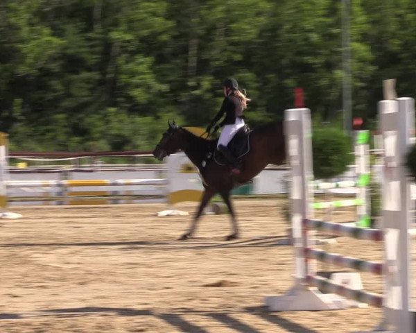 Reitturnier Frechen-Grefrath - Sonnenhof 2022