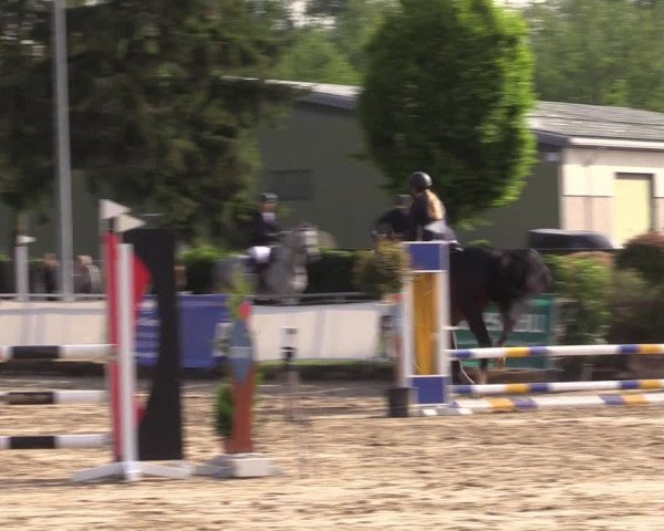 Reitturnier Frechen-Grefrath - Sonnenhof 2022