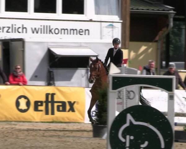 Reitturnier Everswinkel 2022