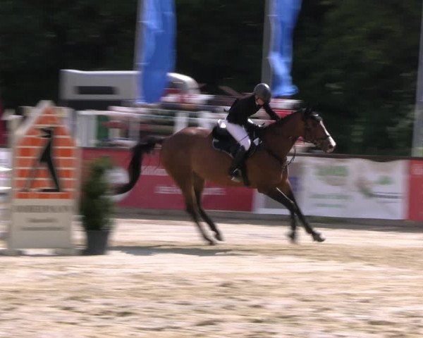 Reitturnier Everswinkel 2022