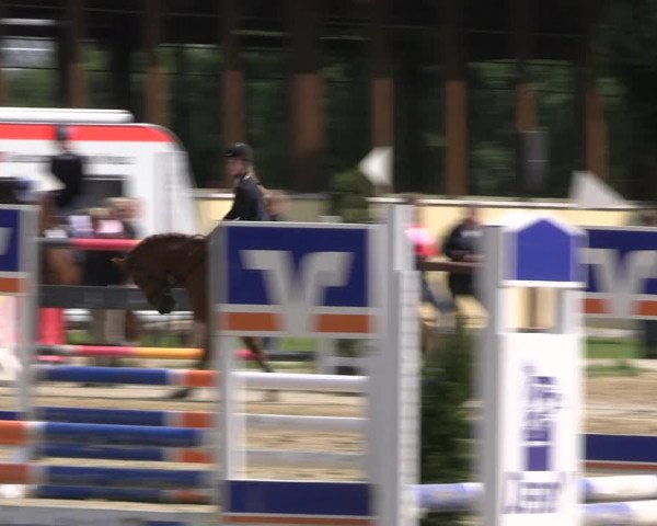 Reitturnier Everswinkel 2022